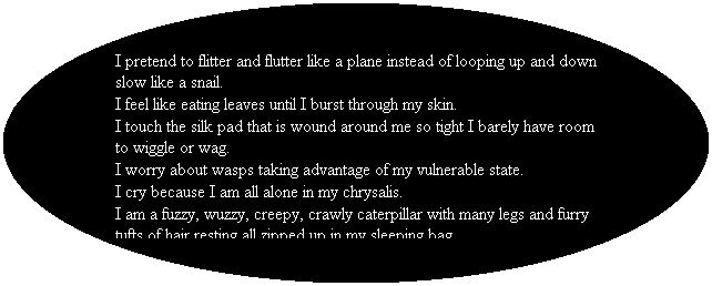 Oval: I pretend to flitter and flutter like a plane instead of looping up and down slow like a snail.
I feel like eating leaves until I burst through my skin.
I touch the silk pad that is wound around me so tight I barely have room to wiggle or wag.
I worry about wasps taking advantage of my vulnerable state.
I cry because I am all alone in my chrysalis. 
I am a fuzzy, wuzzy, creepy, crawly caterpillar with many legs and furry tufts of hair resting all zipped up in my sleeping bag.
&nbsp;
&nbsp;
