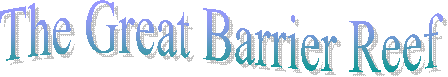 The Great Barrier Reef  
